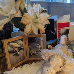 Marti added a photo of their purchase
