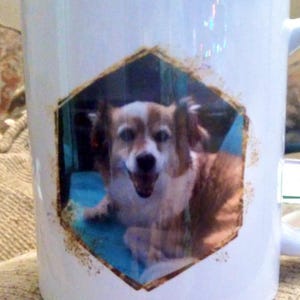C added a photo of their purchase