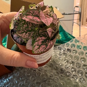 Etsy buyer added a photo of their purchase