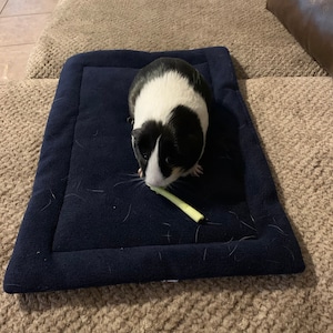 Grace added a photo of their purchase