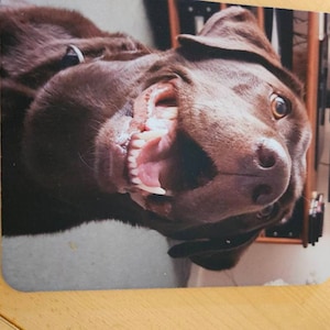 Lesley added a photo of their purchase