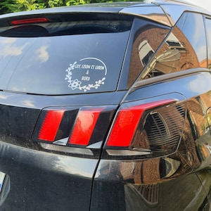 Megane a ajouté une photo de son achat