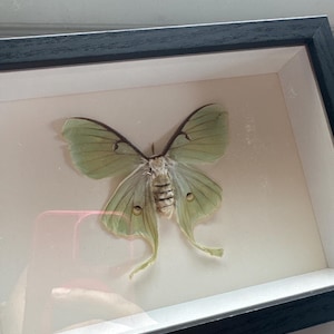 arleny added a photo of their purchase