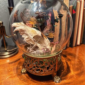 Butterfly Moth Spreading Board With Grid Sticker Taxidermy Entomology