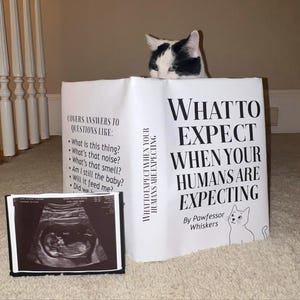 Courtney added a photo of their purchase