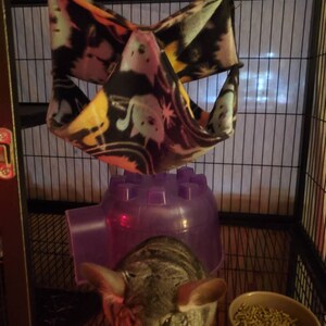 Mack added a photo of their purchase