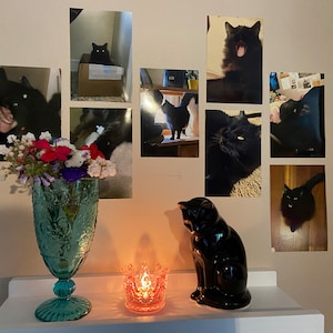 Hannah added a photo of their purchase