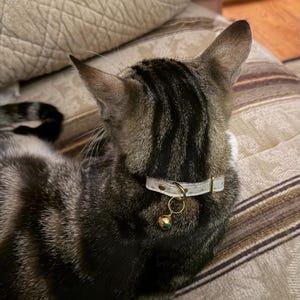 Diane added a photo of their purchase