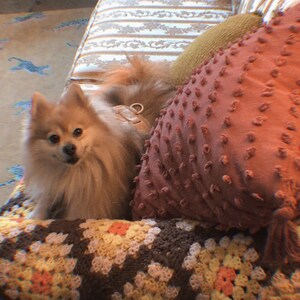 molly added a photo of their purchase