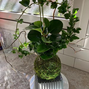 Susie ha añadido una foto de su compra