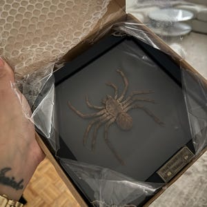 hollybuddz added a photo of their purchase