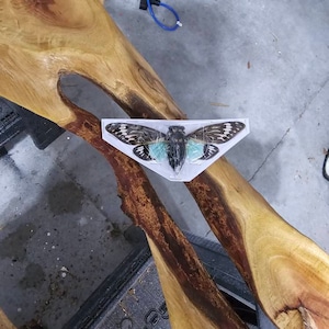 Angela added a photo of their purchase