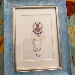 Shannon added a photo of their purchase
