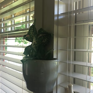 J added a photo of their purchase