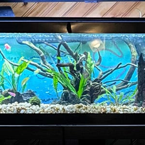 Teresa added a photo of their purchase