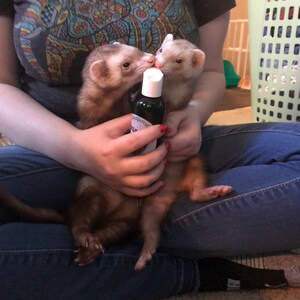 Sadie ha añadido una foto de su compra