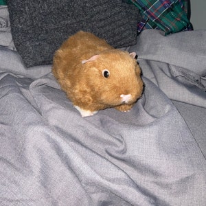 Caitlin added a photo of their purchase