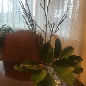 eve added a photo of their purchase