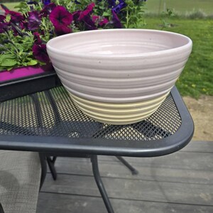 Paula added a photo of their purchase