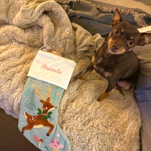 Jeannie added a photo of their purchase