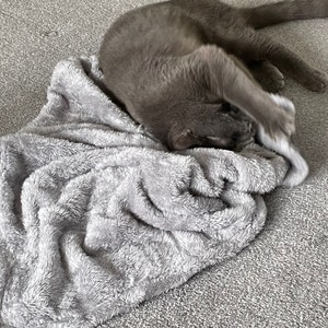 Lesley added a photo of their purchase