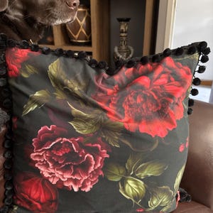 Nancy added a photo of their purchase