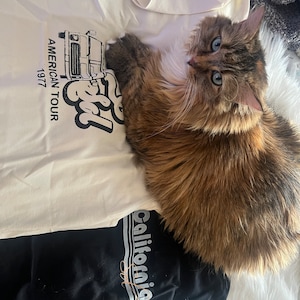 britt added a photo of their purchase