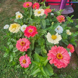 Elizabeth added a photo of their purchase