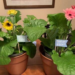 Nancy Burns added a photo of their purchase