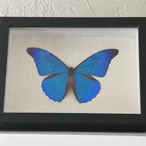 Elizabeth added a photo of their purchase