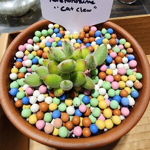 Omar added a photo of their purchase