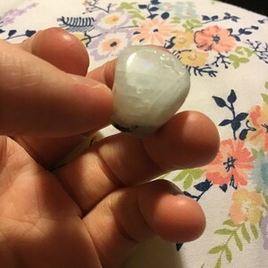 Lint added a photo of their purchase