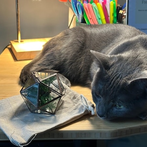 Molly added a photo of their purchase