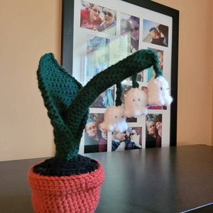 Ashley added a photo of their purchase