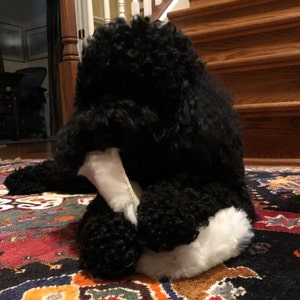 Micann added a photo of their purchase