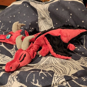 Carlotta added a photo of their purchase