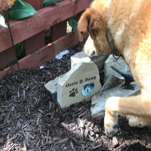 Anthony added a photo of their purchase