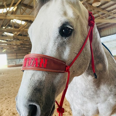 Skinny Bronc Poly Rope Halter - Etsy