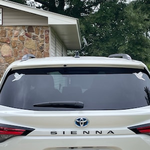 Meghan added a photo of their purchase