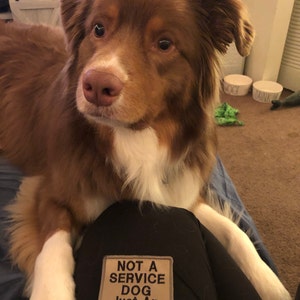 Alyssa heeft een foto van zijn/haar aankoop toegevoegd