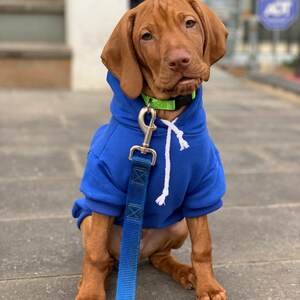 Blue Dog Sweater main image 1
