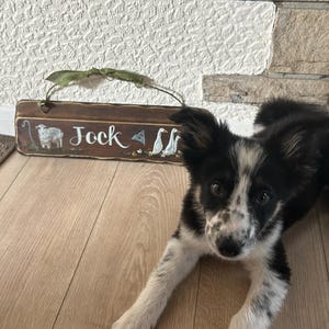 Grace hat ein Foto des gekauften Artikels hinzugefügt