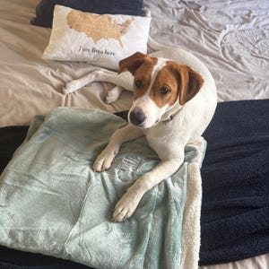 Monica added a photo of their purchase