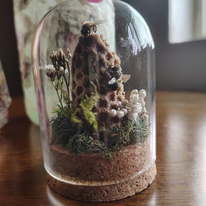 Patricia added a photo of their purchase
