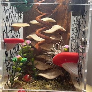 Haley added a photo of their purchase