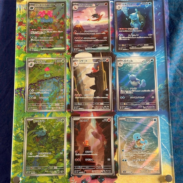 Pokémon 151 Starter Evolution Set Pokémon Card Display Frame Case ...
