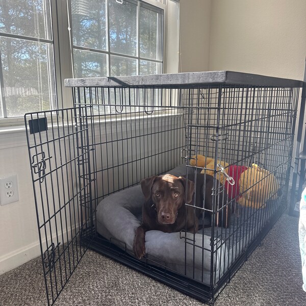 Curated visual reference: Visual Reference: Dog Kennel Wood Top With Safety Lip True Black Stain