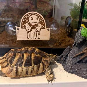 Dawn added a photo of their purchase