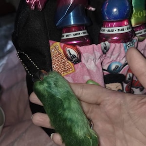Amber added a photo of their purchase