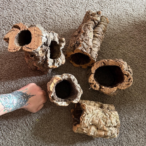Virgin Cork Bark Rounds: Natural Terrarium & Reptile Habitat Decor - Etsy